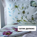 Tivolyo Home Candy